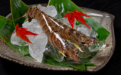 和洋膳処 砂貴 おいしい料理